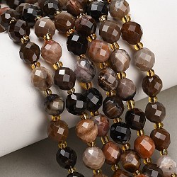 Natural Petrified Wood Beads Strands, Round, Faceted, with Seed Beads, 8~9x7~8mm, Hole: 1mm, about 18~20pcs/strand, 7.48''(19cm)~7.87''(20cm)(GG-CBA4A3B-A08)