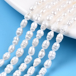 Natural Cultured Freshwater Pearl Beads Strands, Keshi Pearl Baroque Beads, Rice, Seashell Color, 5~6x3.5~4mm, Hole: 0.7~0.8mm, about 61~65pcs/strand, 13.78 inch(35cm)(PEAR-N012-03K)