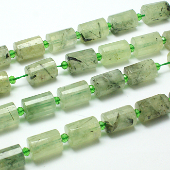 Natural Prehnite Bead Strands, Column, 15x10mm, about 22pcs/strand, 15 inch