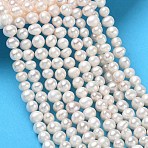 Natural Cultured Freshwater Pearl Beads Strands, Grade 2A, Potato, Beige, 4.8~5.2mm, Hole: 0.5mm, about 78pcs/strand, 13.78''(35cm)(PA-CBAC463-29)