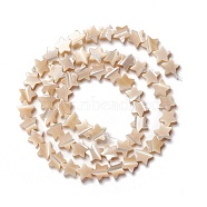 Natural Trochid Shell/Trochus Shell Beads, Star, Navajo White, 8x8.5x2.5~3mm, Hole: 0.8mm, about 55pcs/strand, 15.55 inch(39.5cm)(SSHEL-O001-25B-01)