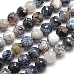 Dyed Natural Agate Faceted Round Beads Strands, Light Grey, 12mm, Hole: 1mm, about 32pcs/strand, 14.5 inch~15 inch(G-E269-06)