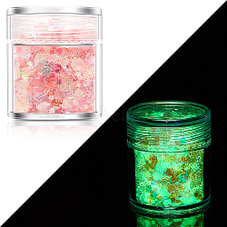 Luminous Nail Art Glitter Powder, Starry Sky Effect, Shiny Nail Decoration, Glow in the Dark, Pink, 1~3mm(LUMI-PW0004-034B)