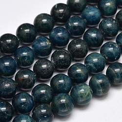 Round Grade A Natural Apatite Bead Strands, 14mm, Hole: 1mm, about 28pcs/strand, 15.5 inch(G-F289-13-14mm)