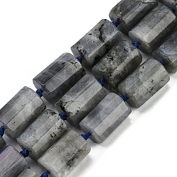 Natural Labradorite Beads Strands, Faceted, Column, 16x12mm, Hole: 1.5mm, about 21pcs/strand, 16.34''(41.5cm)(G-G162-D13-02)