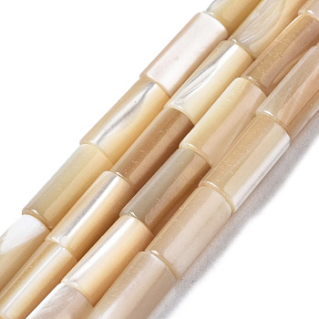 Natural Trochid Shell/Trochus Shell Beads Strands, Column, BurlyWood, 7x3mm, Hole: 0.7mm, about 58pcs/strand, 15.75 inch(40cm)