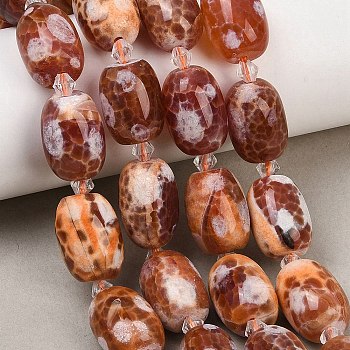 Natural Fire Crackle Agate Beads Strands, Dyed & Heated, Barrel, with Seed Beads, Chocolate, 12~13.5x16.5~19mm, Hole: 1.2~1.4mm, about 18pcs/strand, 15.75''(40cm)