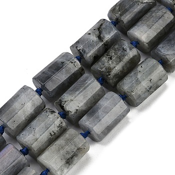 Natural Labradorite Beads Strands, Faceted, Column, 16x12mm, Hole: 1.5mm, about 21pcs/strand, 16.34''(41.5cm)