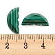 Natural Malachite Butterfly Wing Cabochons(G-D078-02B)-3