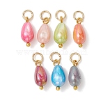 Dyed Natural Freshwater Shell Pendants, AB Color Teardrop Charms with 304 Stainless Steel Findings, Golden, Mixed Color, 14x6mm, Jump Ring: 5x0.8mm, Inner Diameter: 3.4mm(PALLOY-JF05211)