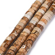 Natural Picture Jasper Beads Strands, Heishi Beads, Flat Round/Disc, 6x3mm, Hole: 1mm, about 119~131pcs/strand, 14.76~15.74 inch(37.5~40cm)(G-Z006-C28)