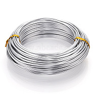 Rubber Covered Aluminum Wire, Round, Bendable Metal Craft Wire, for Making Dolls Skeleton DIY Crafts, Silver, 12 Gauge, 2mm, about 65.62 Feet(20m)/Roll(AW-WH0011-03)