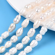 Natural Cultured Freshwater Pearl Beads Strands, Rice, Seashell Color, 7.5~13x6.5~8.5mm, Hole: 0.6mm, about 32~35pcs/strand, 12.91~13.11 inch(32.8~33.3cm)(PEAR-N012-07S)