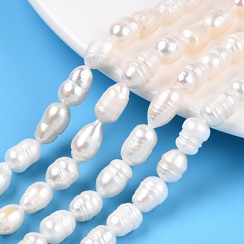 Natural Cultured Freshwater Pearl Beads Strands, Rice, Seashell Color, 7.5~13x6.5~8.5mm, Hole: 0.6mm, about 32~35pcs/strand, 12.91~13.11 inch(32.8~33.3cm)