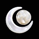 Natural White Shell Beads Set(SSHEL-N032-51-B01)-1