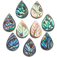 Natural Abalone Shell/Paua Shell Beads, Leaf, Colorful, 12.5x8.5x3.5mm, Hole: 1mm, 10pcs/box(SHEL-BBC0001-01)