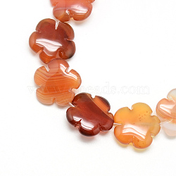 Dyed Natural Red Agate Bead Strands, Flower, 15.5~16x16x6mm, Hole: 1mm, about 25pcs/strand, 15.1 inch(G-T003-16mm-10)
