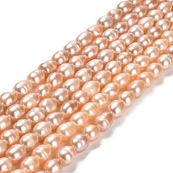 Natural Cultured Freshwater Pearl Beads Strands, Rice, Grade AA, PeachPuff, 7~8x6~6.5mm, Hole: 0.7mm, about 45pcs/strand, 14.37''(36.5cm)