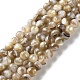 Natural Freshwater Shell Beads Strands(X-SSHEL-B002-15)-1