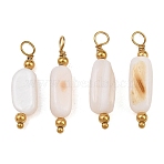 Natural Freshwater Shell Pendants, Nuggets Charm, with 304 Stainless Steel Findings, Ion Plating(IP), Long-Lasting Plated, Real 18K Gold Plated, 23.5~26x5.5~7x3.5~6mm, Hole: 2.5mm(SH-CBA5EEC-04G)