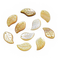 Natural Yellow Shell Pendants, Leaf, 15~16x9~10x2mm, Hole: 1mm(SSHEL-S258-100B)