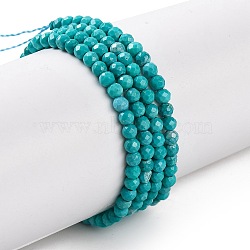 Natural Howlite Beads Strannds, Dyed, Faceted, Round, Dark Turquoise, 2mm, Hole: 0.3mm, about 178~186pcs/strand, 15.08~15.75''(38.3~40cm)(G-C025-02A-03)