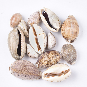 Cowrie Shell Pendants, Camel, 23~46x14~26x10~25mm, Hole: 1.5mm, about 70pcs/500g