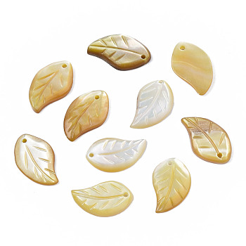 Natural Yellow Shell Pendants, Leaf, 15~16x9~10x2mm, Hole: 1mm