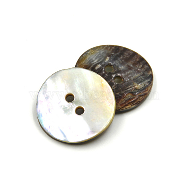 coquille d'ormeau / coquille de paua(X-BSHE-I011-04A)-2