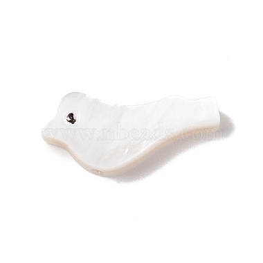 Natural White Shell Beads(BSHE-G031-03)-1