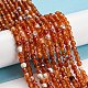 Dyed Natural Fire Crackle Agate Beads Strands(G-G007-01E)-2