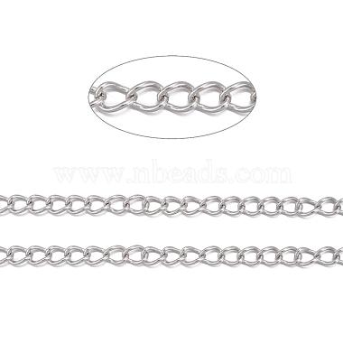 3.28 Feet 304 Stainless Steel Twist Chains(X-CHS-K001-24-3mm)-2