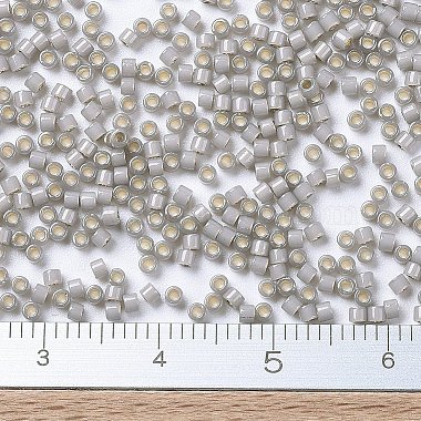 Perles miyuki delica(X-SEED-J020-DB1456)-4