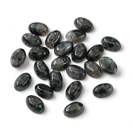 Natural Larvikite Cabochons, Oval, 6x4x2~2.5mm(G-A094-01A-07)