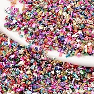 Baking Paint Glass Beads, Irregular Shaped Beads, For Nail Art Decoration Accessories, No Hole/Undrilled, Mixed Color, 1.5~6.5x1.5~3.5x0.5~2.5mm, about 450g/bag(SEED-T005-01B)