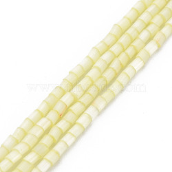 Glass Silk Stain Style Beads Strands, Tube, Champagne Yellow, 1.5~5x2mm, Hole: 0.8mm, about 185~187pcs/strand, 15.55 inch~15.75 inch(39.5~40cm)(GLAA-N047-001A-02)