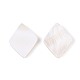 Natural Freshwater Shell Beads(BSHE-T014-46)-2