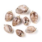 Electroplate Natural Shell Pendants, Conch Charms with Golden Tone Iron Loops, Tan, 26~35x15.5~21.5x13~18mm, Hole: 1.6~1.7mm(SSHEL-N042-06)