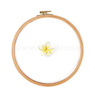 Wood Cross Stitch Embroidery Hoops, Embroidered Display Frame, Sewing Tools Accessory, BurlyWood, 250mm(PW-WG79288-07)