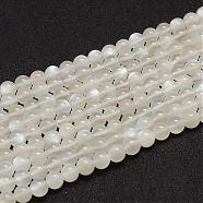 Natural White Moonstone Beads Strands, Grade A+, Round, White, 6mm, Hole: 0.8mm, about 61pcs/strand(G-F306-05AB-6mm)