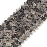 Natural Larvikite Beads Strands, Heart, 7~7.5mm, Hole: 0.6mm, about 62pcs/strand, 14.80''~15''(37.6~38.1cm)(G-M403-A12)