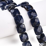 Natural Sodalite Beads Strands, Faceted Square, 12~12.5x12~12.5x5.5~6mm, Hole: 1.2mm, about 17pcs/strand, 8.07~8.4''(20.5~21cm)(G-T138-169)