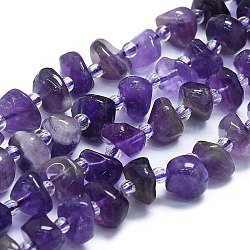 Natural Amethyst Beads Strands, Chips, 7~8x7~8x3~5mm, Hole: 1mm, about 60pcs/strand, 15.35''(39cm)(G-K245-H18-05)