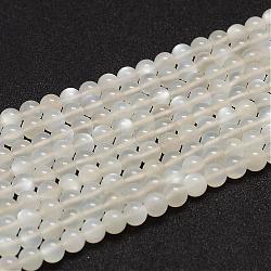 Natural White Moonstone Beads Strands, Grade AB, Round, White, 6mm, Hole: 0.8mm, about 61pcs/strand(G-F306-05AB-6mm)