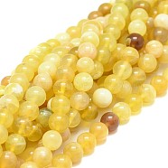Natural Yellow Opal Beads Strands, Round, Grade A, 8mm, Hole: 0.8mm, about 50pcs/strand, 15.35 inch(39cm)(G-F674-07A-8mm)