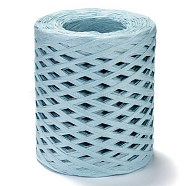 Raffia Ribbon, Packing Paper String, for Gift Wrapping, Party Decor, Craft Weaving, Light Sky Blue, 3~4mm, about 200m/roll(OCOR-I012-A20)