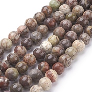 Natural Gemstone Beads Strands, Ocean Jasper, Dyed, Round, Brown, 6mm, Hole: 1mm, 15.7 inch, about 60pcs/strand(G-D062-6mm-1)