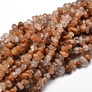 Natural Rutilated Quartz Chip Beads Strands, 5~14x4~10mm, Hole: 1mm, about 15.5 inch~16.1 inch(G-E271-91)