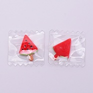 Resin Pendants, Imitation Food, with Clear Plastic Bags, Watermelon, Red, 30x29.5x3.7mm, Hole: 2mm(RESI-TAC0004-04)