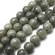 Natural Labradorite Bead Strands, Round, 4mm, Hole: 1mm, about 91pcs/strand, 15 inch(G-P256-01-4mm)